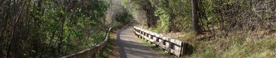 cropped-DSCF3260.jpg