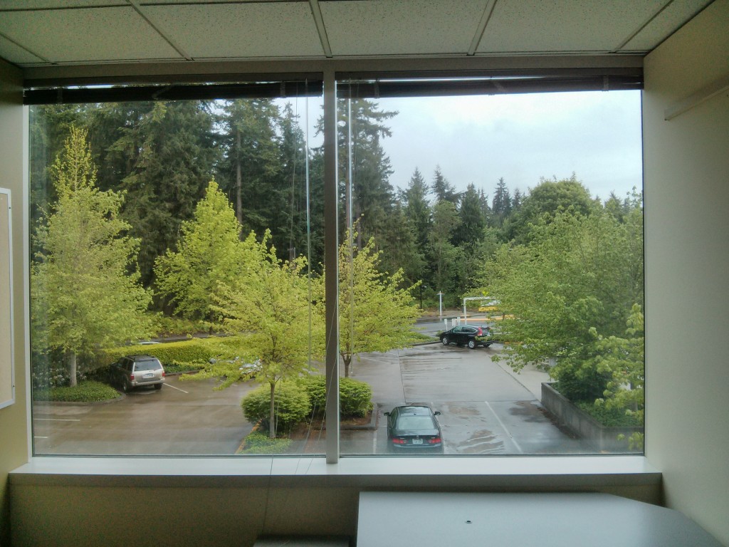 Overcast view from my office